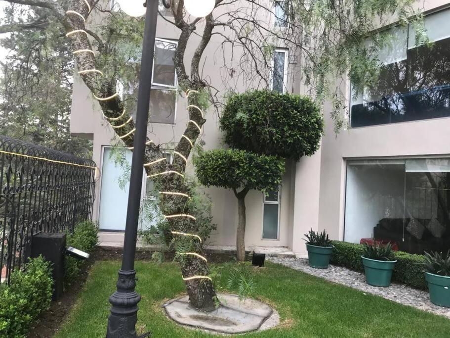 Hermoso Departamento En Bosques De Las Lomas Dos Habitaciones Мексико Сити Екстериор снимка