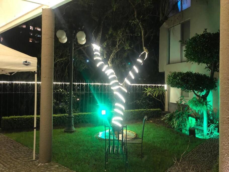 Hermoso Departamento En Bosques De Las Lomas Dos Habitaciones Мексико Сити Екстериор снимка